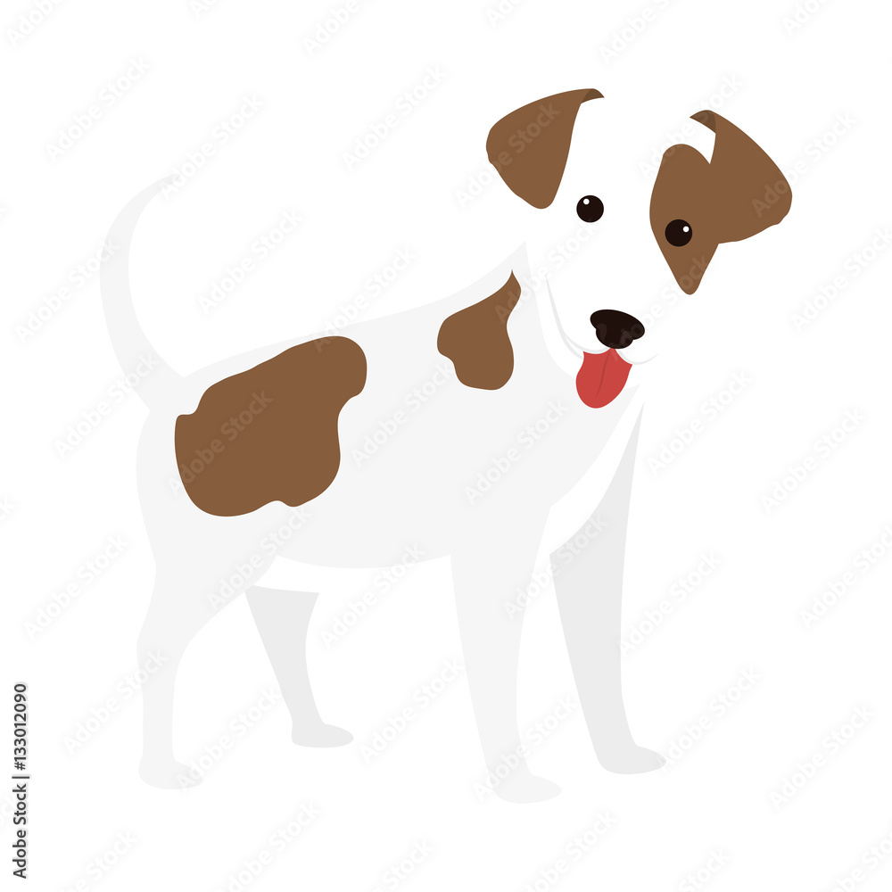 cartoon cute dog icon over white background. coloful design. vector illustration cartoon cute dog icon over white background. coloful design. vector illustration