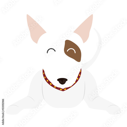 cartoon cute bull terrier dog icon over white background. coloful design. vector illustration