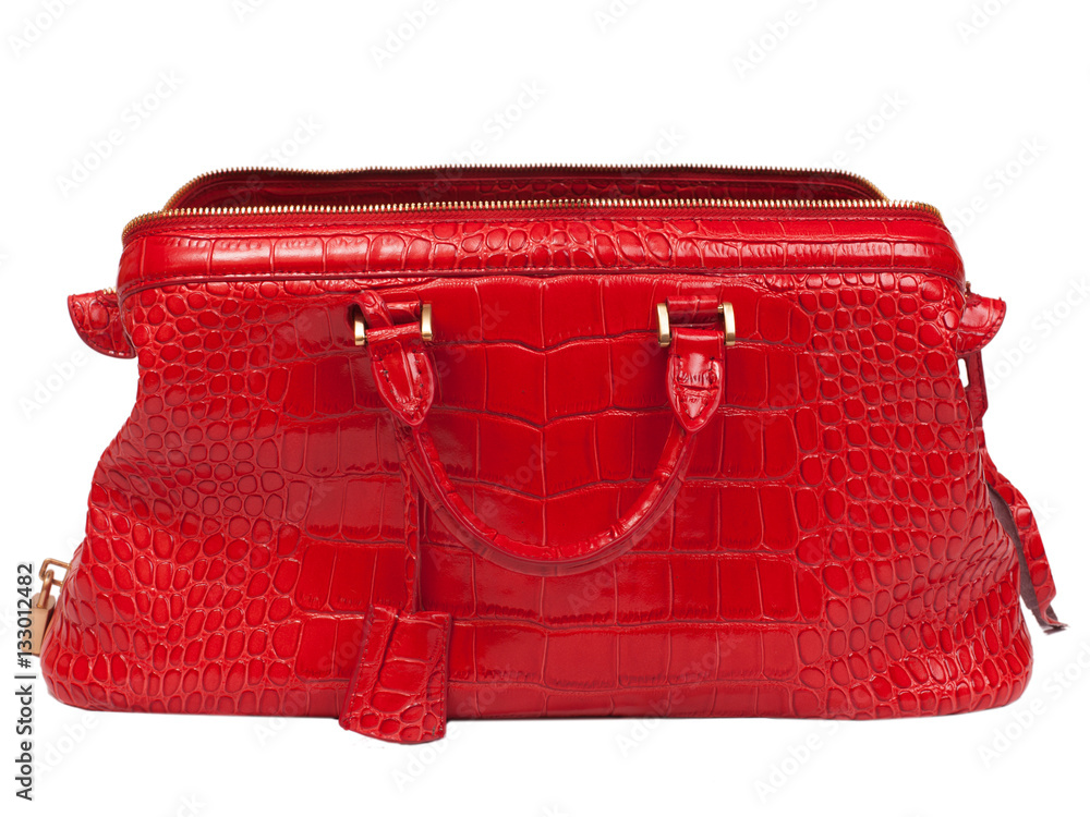 Fotografie The Leather female handbag.