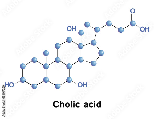 Cholic acid, along with chenodiol, is one of the two major bile acids produced by the liver, where it is synthesized from cholesterol. photo