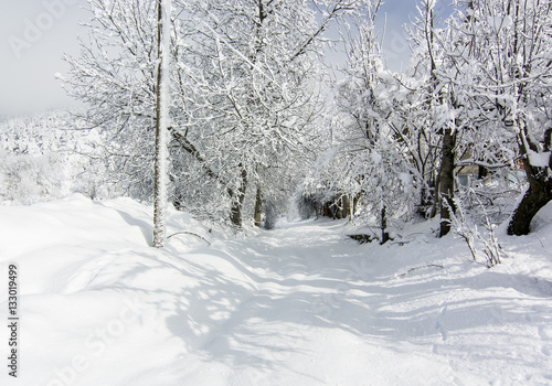 snow landscape   © muratti6868