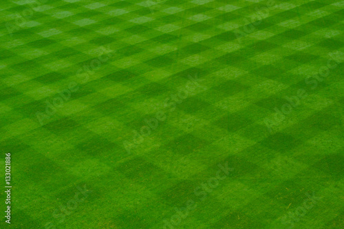 Baseball Grass