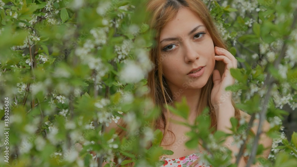 girl smiling and posing among blossoming plum girl smiling and posing among blossoming plum