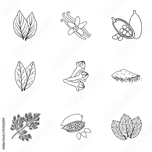 Herb and spices set icons in outline style. Big collection of herb and spices vector symbol stock illustration