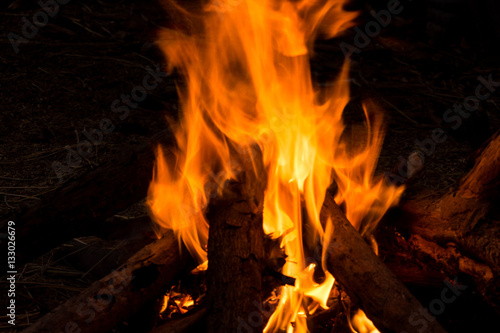 Close up of bonfire. selective focus on fire.