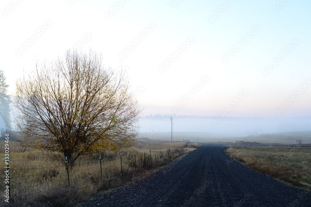 Road leads back to you Road leads back to you