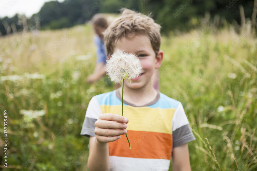 Boy holding dandelion flower Boy holding dandelion flower