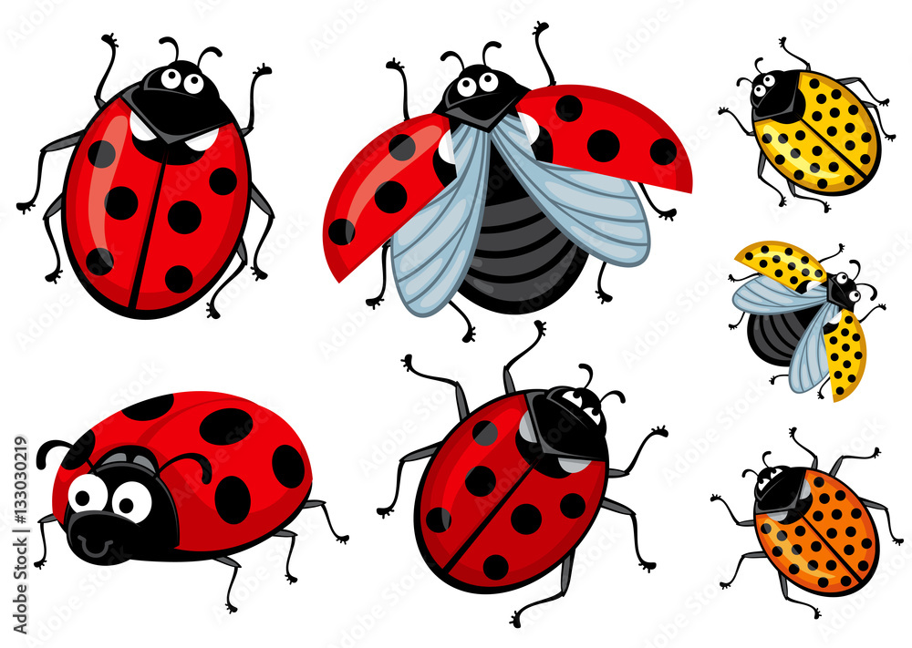Set of cartoon red and ladybirds on a white background, Corel Set of cartoon red and ladybirds on a white background, Corel