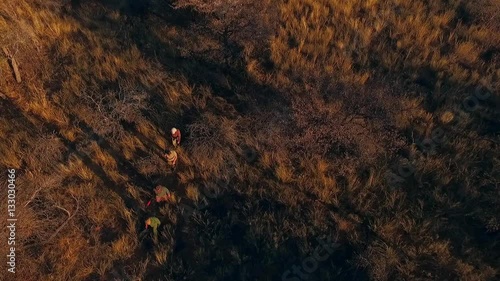 hunters with a gun walking on the savannah in search of prey top view