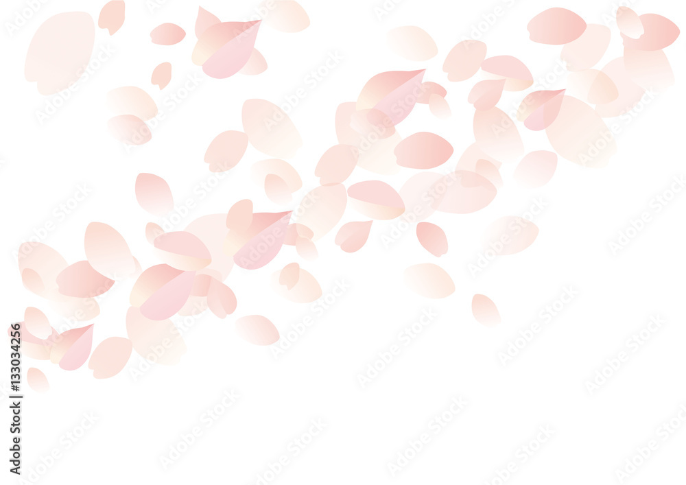 桜 チェック ぼかしピンク 白