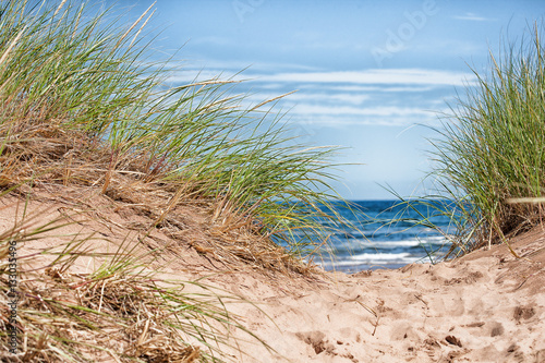 Fototapeta Naklejka Na Ścianę i Meble -  Sand Dunes lead to the Sea
