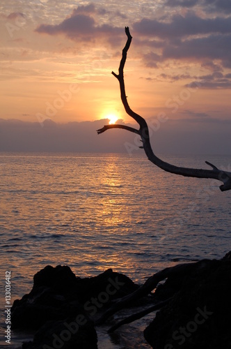 Maui sunset © Ray
