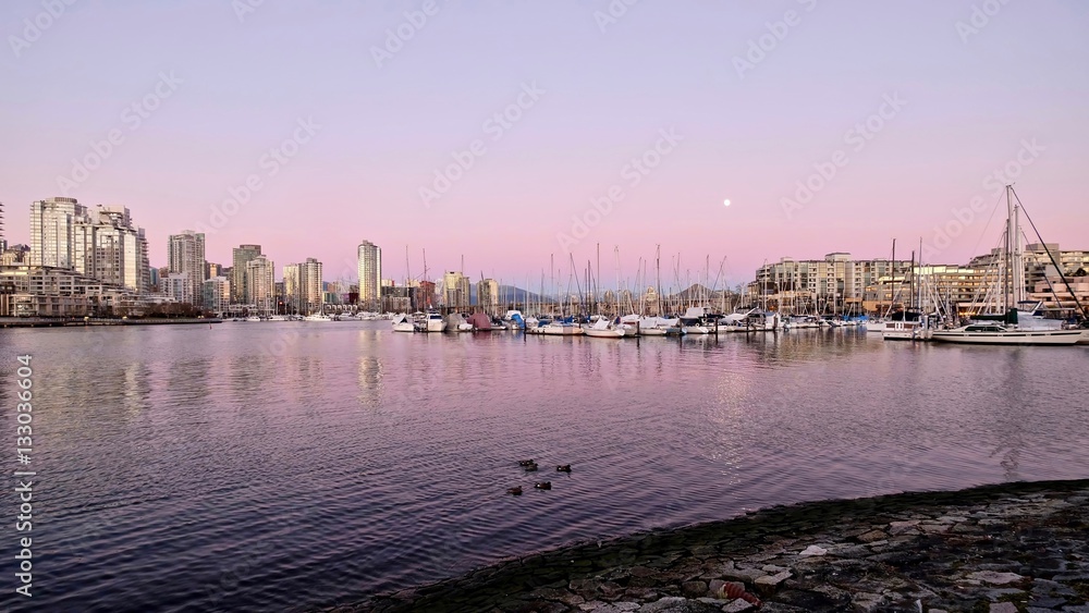 Naklejka premium Pink sunset and full moon over boat marina. View of False Creek and Yaletown from Kitsilano. Vancouver. British Columbia. Canada.