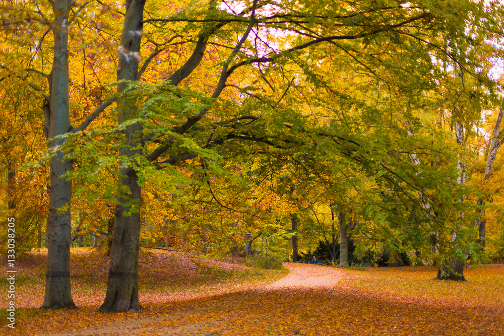 Parque Tiergarten Berlín en otoño