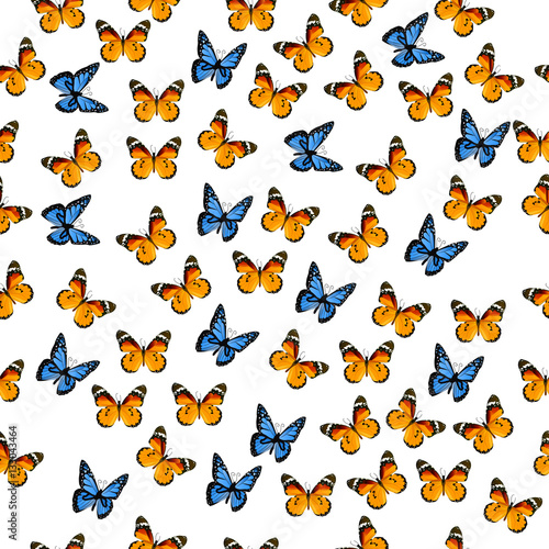 illustration of a colorful butterfly © lacrimastella