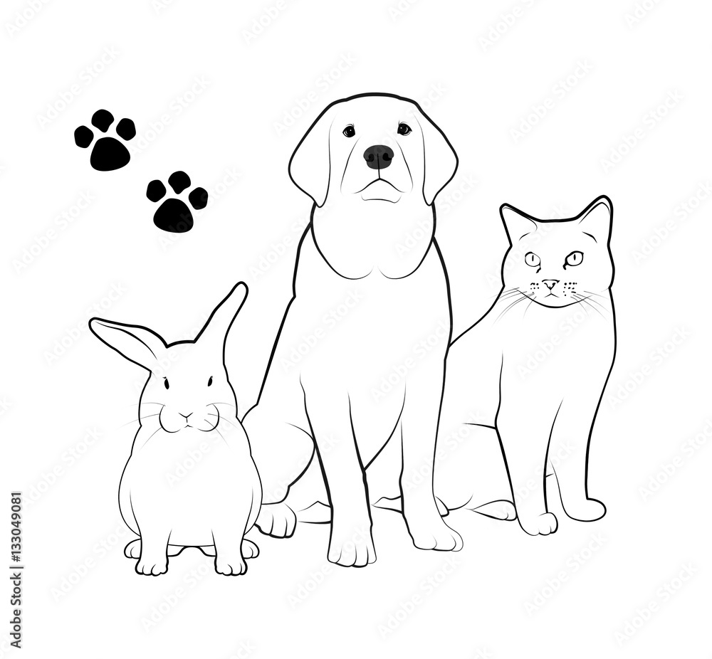 Fototapeta premium Pet Shop