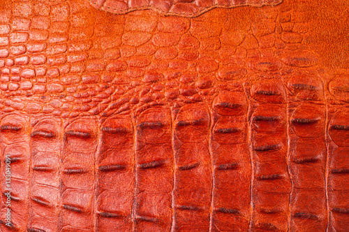 crocodile Skin