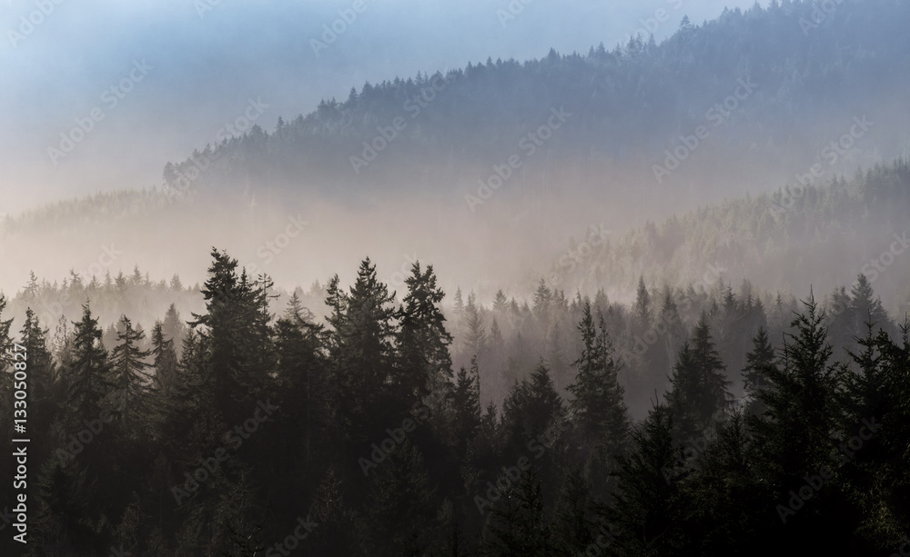 Foggy Ridge Lines, Joyce Valley, Washington State
