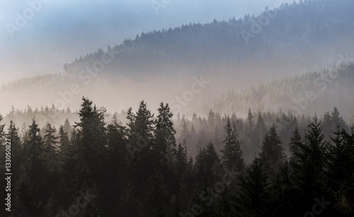 Fototapeta Naklejka Na Ścianę i Meble -  Foggy Ridge Lines, Joyce Valley, Washington State