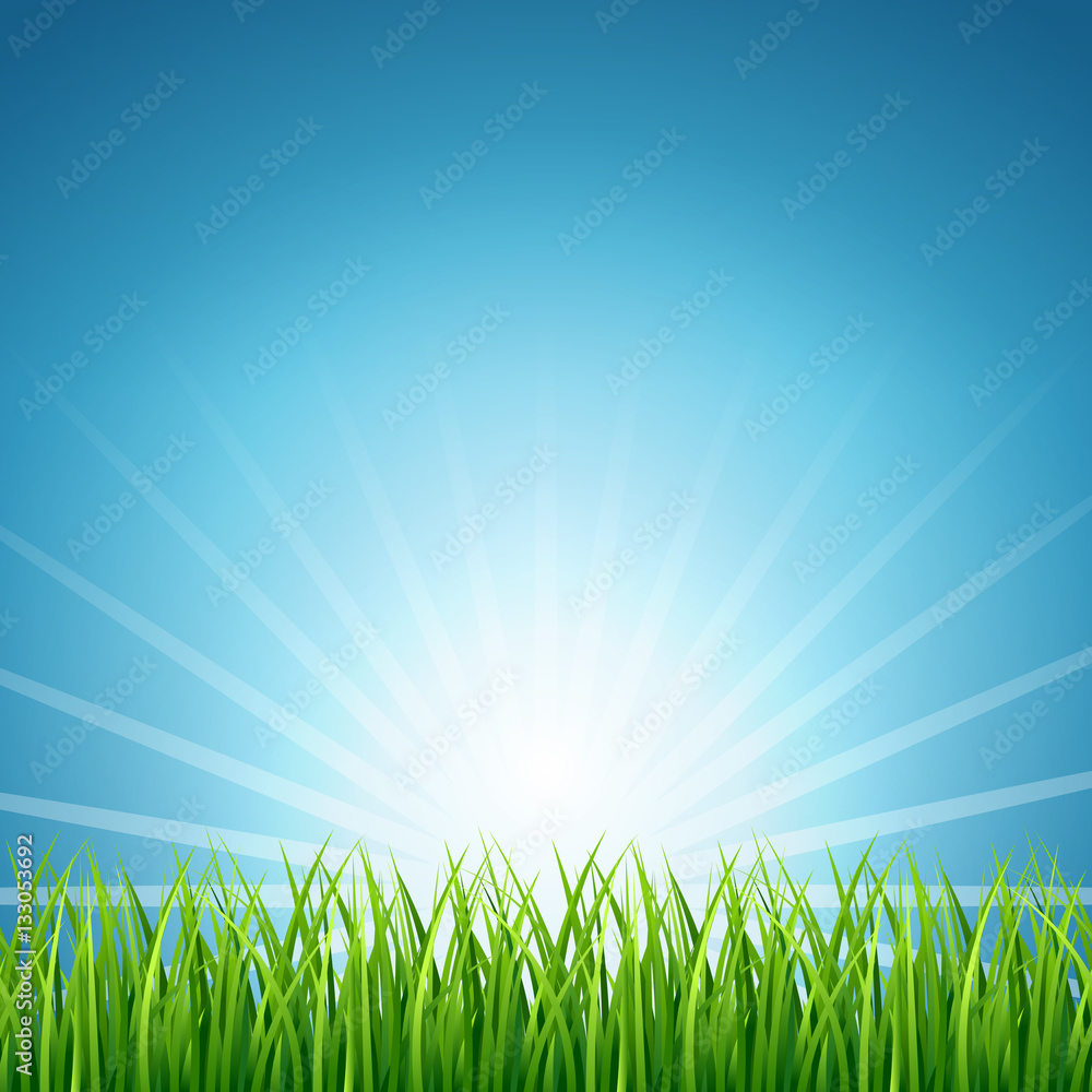 Abstract vector rising sun over green grass background