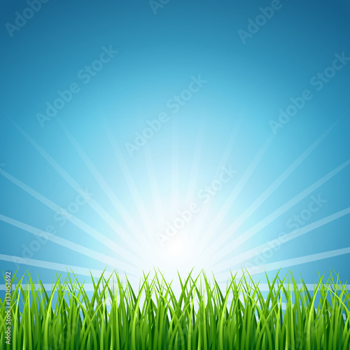 Abstract vector rising sun over green grass background