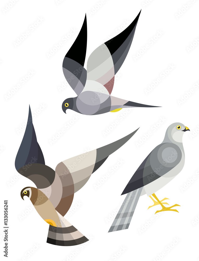 Obraz premium Stylized Birds - Harrier