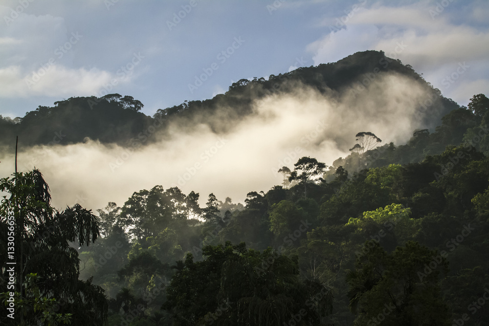 Sinharaja forest reserve, Sri Lanka