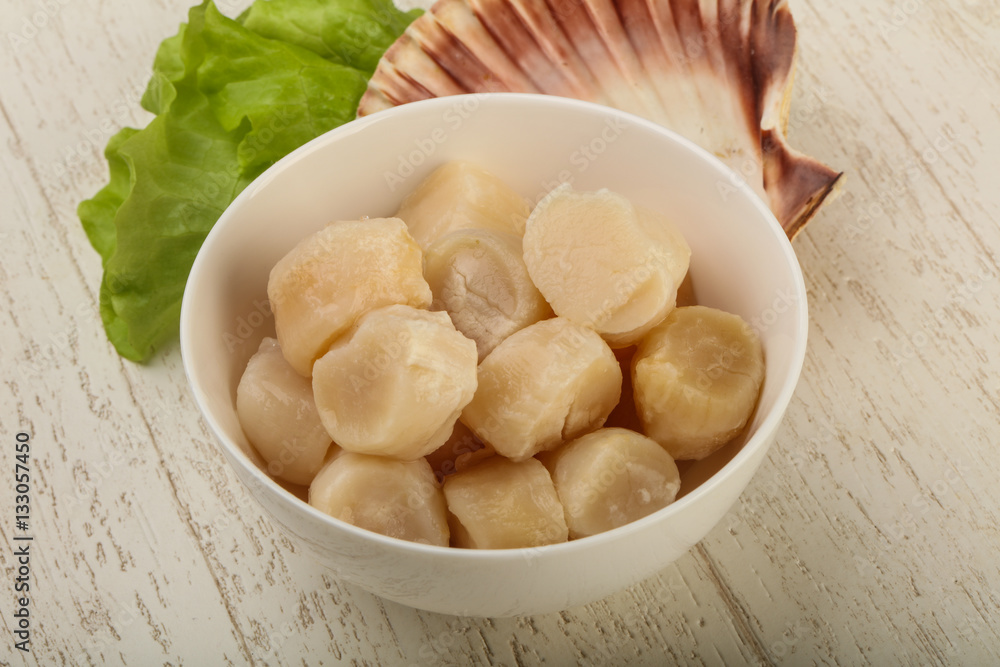 Raw scallops heap Raw scallops heap