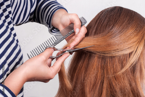 hairdresser cuts brown-haired person hair holding a hairbrush