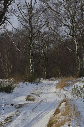 snow-covered road