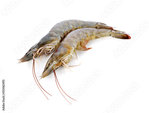 fresh shrimp prawn on white background