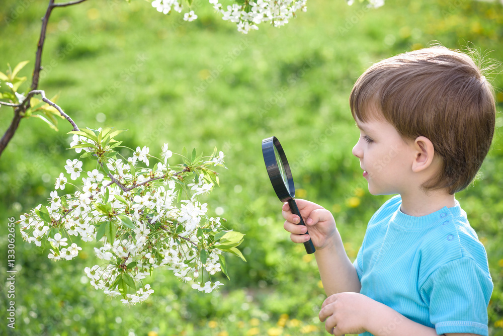 Young boy exploring nature in a meadow with magnifying glass Young boy exploring nature in a meadow with magnifying glass