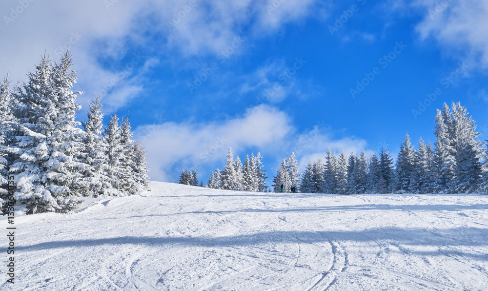 Fototapeta premium mountain ski