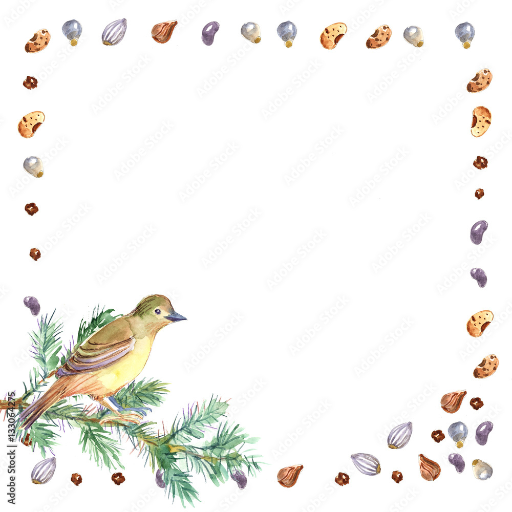 bird, bullfinch, sparrow, watercolor