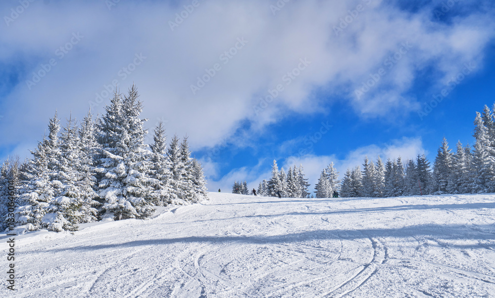 Obraz premium mountain ski