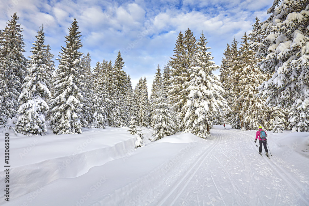 Winter landscape with cross-country skiing tracks, skier and snow covered trees.