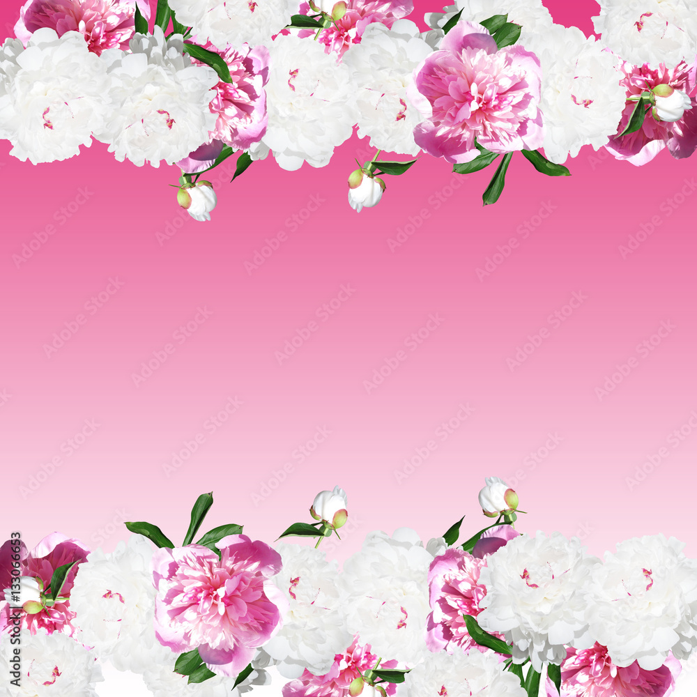 Naklejka premium Beautiful floral background with white and pink peonies 