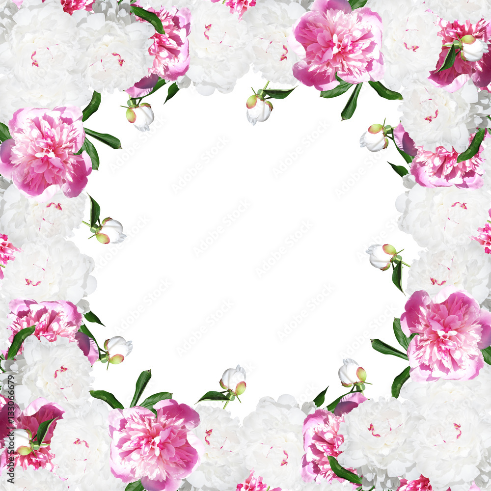Beautiful floral background with white and pink peonies Beautiful floral background with white and pink peonies