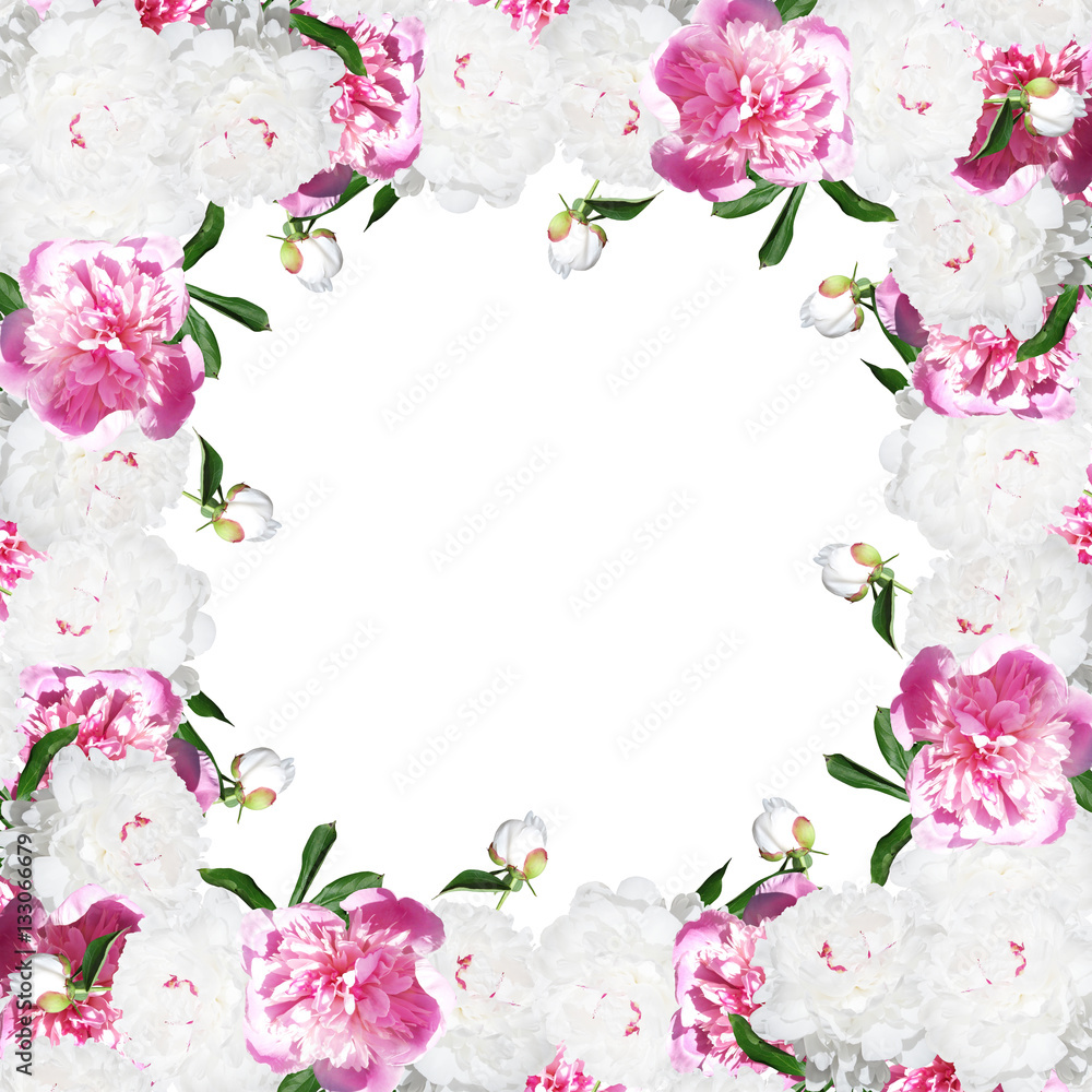 Beautiful floral background with white and pink peonies 