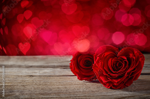 Valentines rose