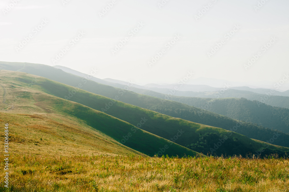 Fototapeta premium ukrainian carpathian mountains. Beautiful mountain landscape.