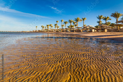 Beautiful sandy beach with palm trees at sunset. Egypt