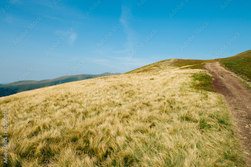 Fototapeta premium ukrainian carpathian mountains. Beautiful mountain landscape.