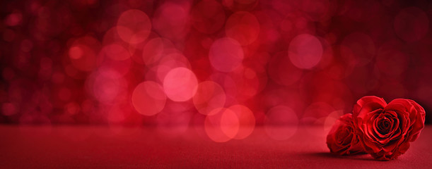 Rose petal on abstract background