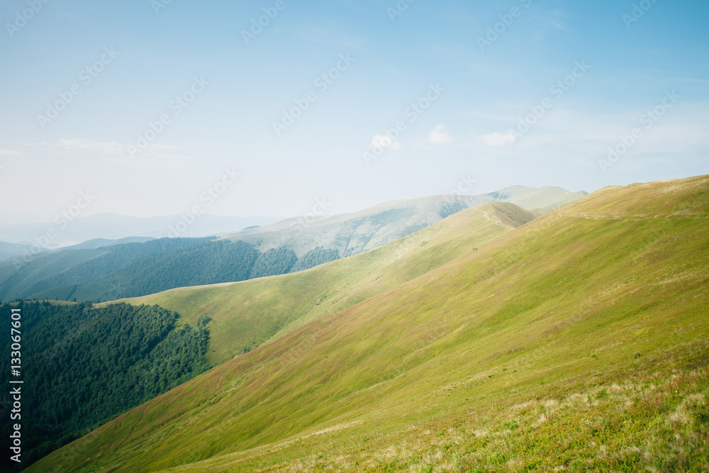 Fototapeta premium ukrainian carpathian mountains. Beautiful mountain landscape.