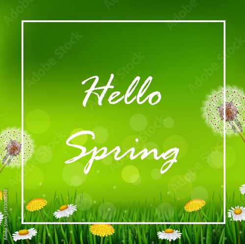 Beautiful Spring or summer season nature background