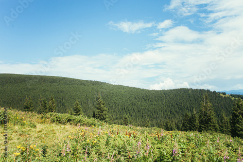 ukrainian carpathian mountains. Beautiful mountain landscape. © vadik02020