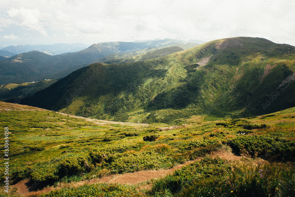 ukrainian carpathian mountains. Beautiful mountain landscape.