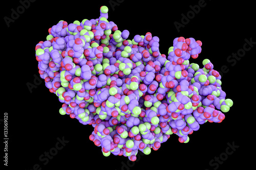 Molecule of ricin, 3D illustration, a highly toxic protein produced in seeds of castor oil plant Ricinus communis