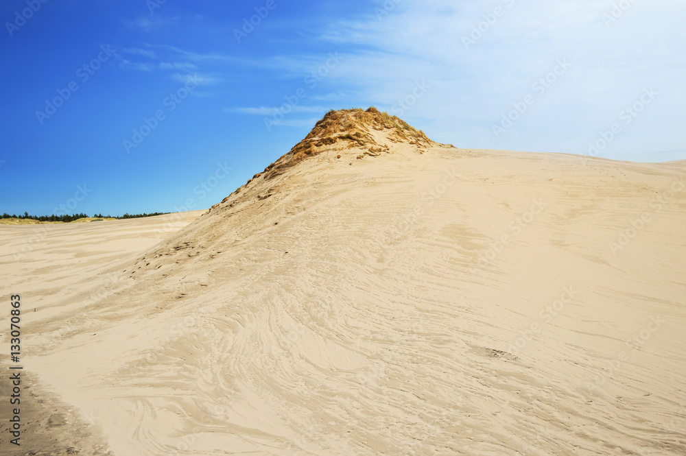 Sandy dunes in Slowinski National Park, Poland